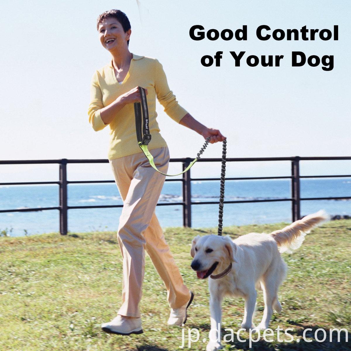 ウエストポーチ付き犬のリーシュ Dog Leash with Waist Pouch